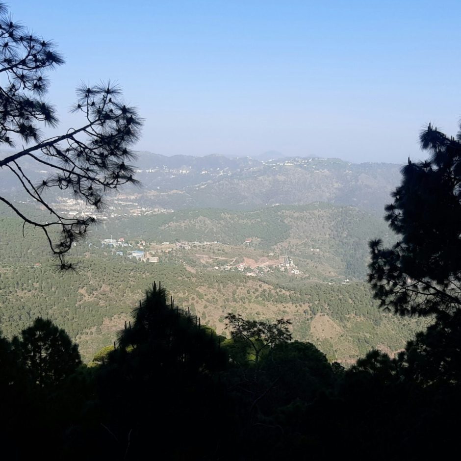 Scenic view of Kasauli hill station with lush greenery and colonial-era architecture, accessible via our Himachal taxi service